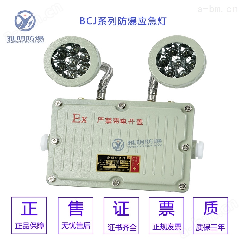 IIC级BC5200-6W4W5W防爆LED双头应急灯
