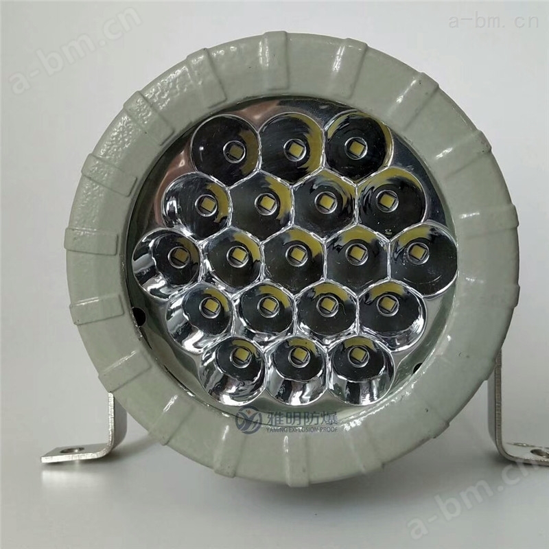 LED-15W20W25WIP65反应釜物料观察视镜灯